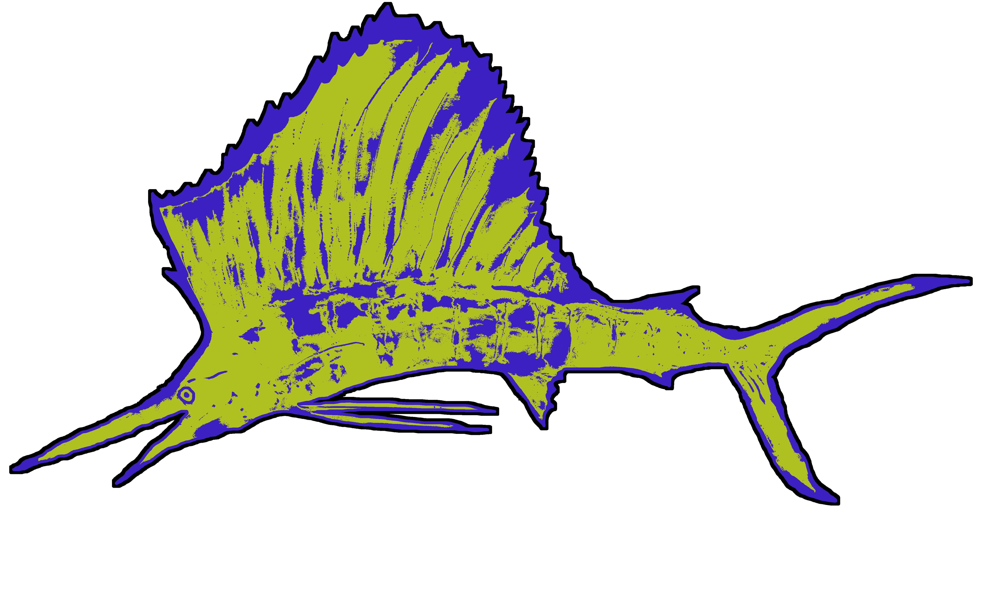 A Sail Fish 1