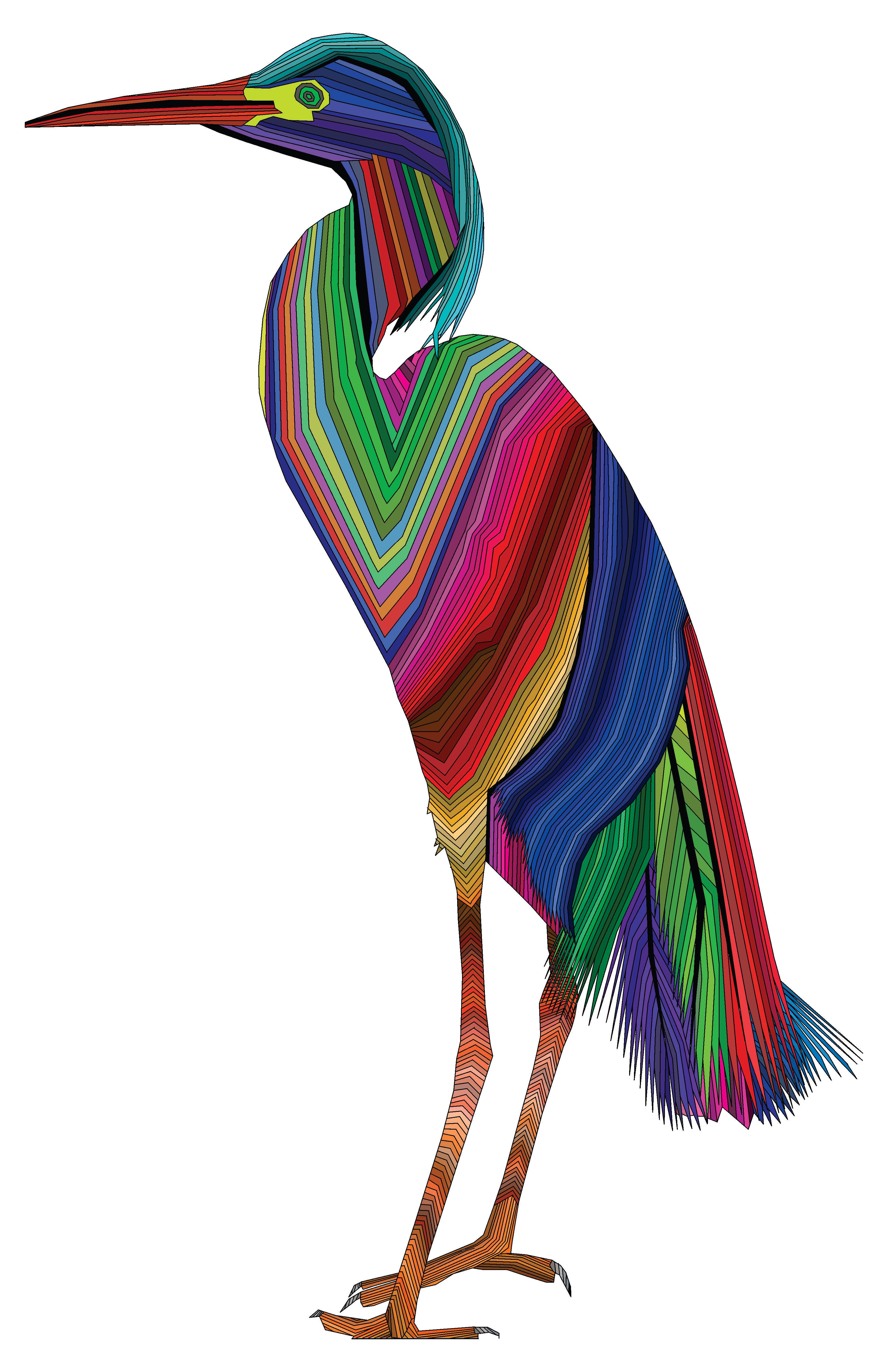 Rainbow Bird