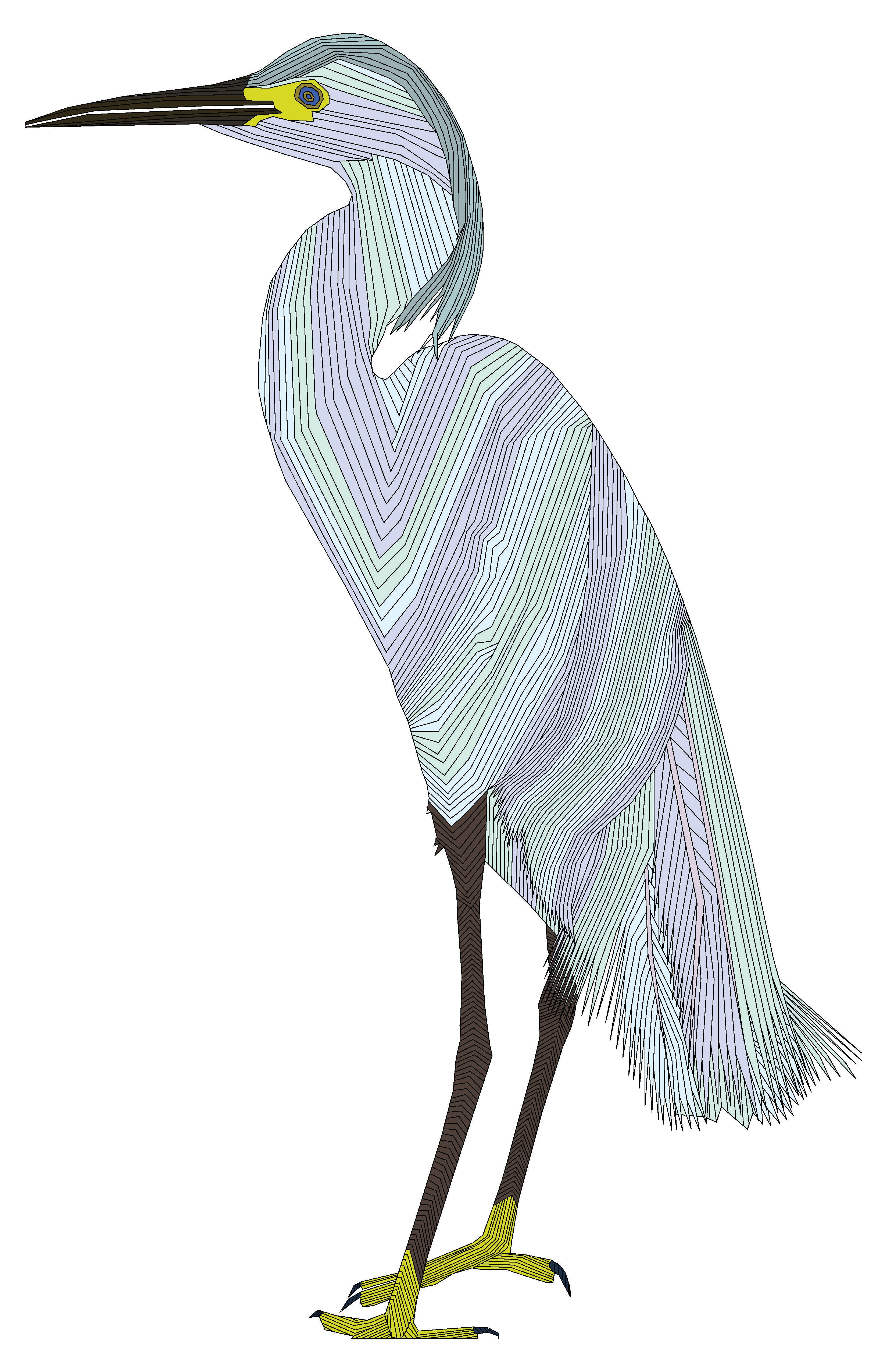 Light Blue Bird