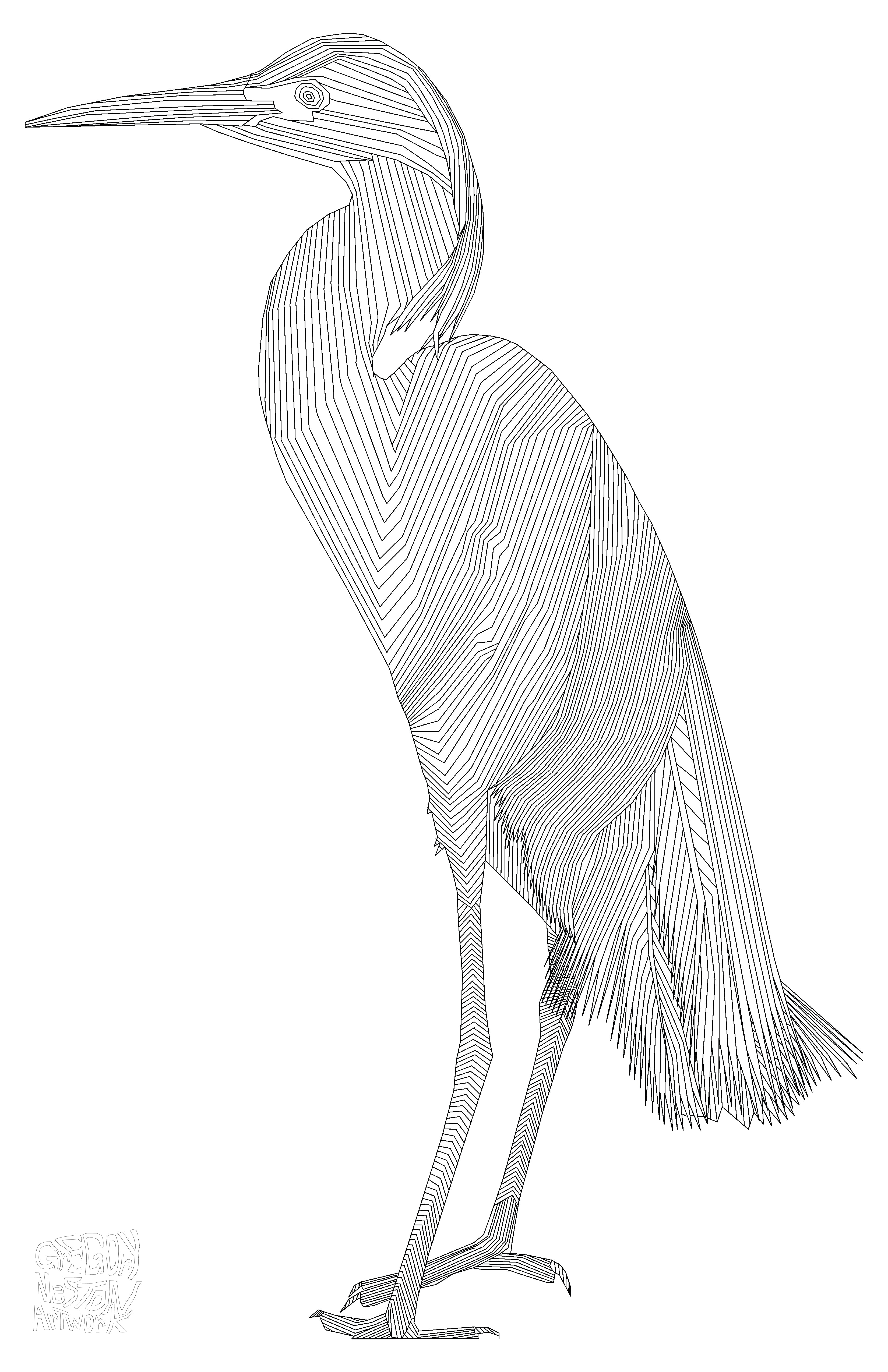 Florida Bird #2