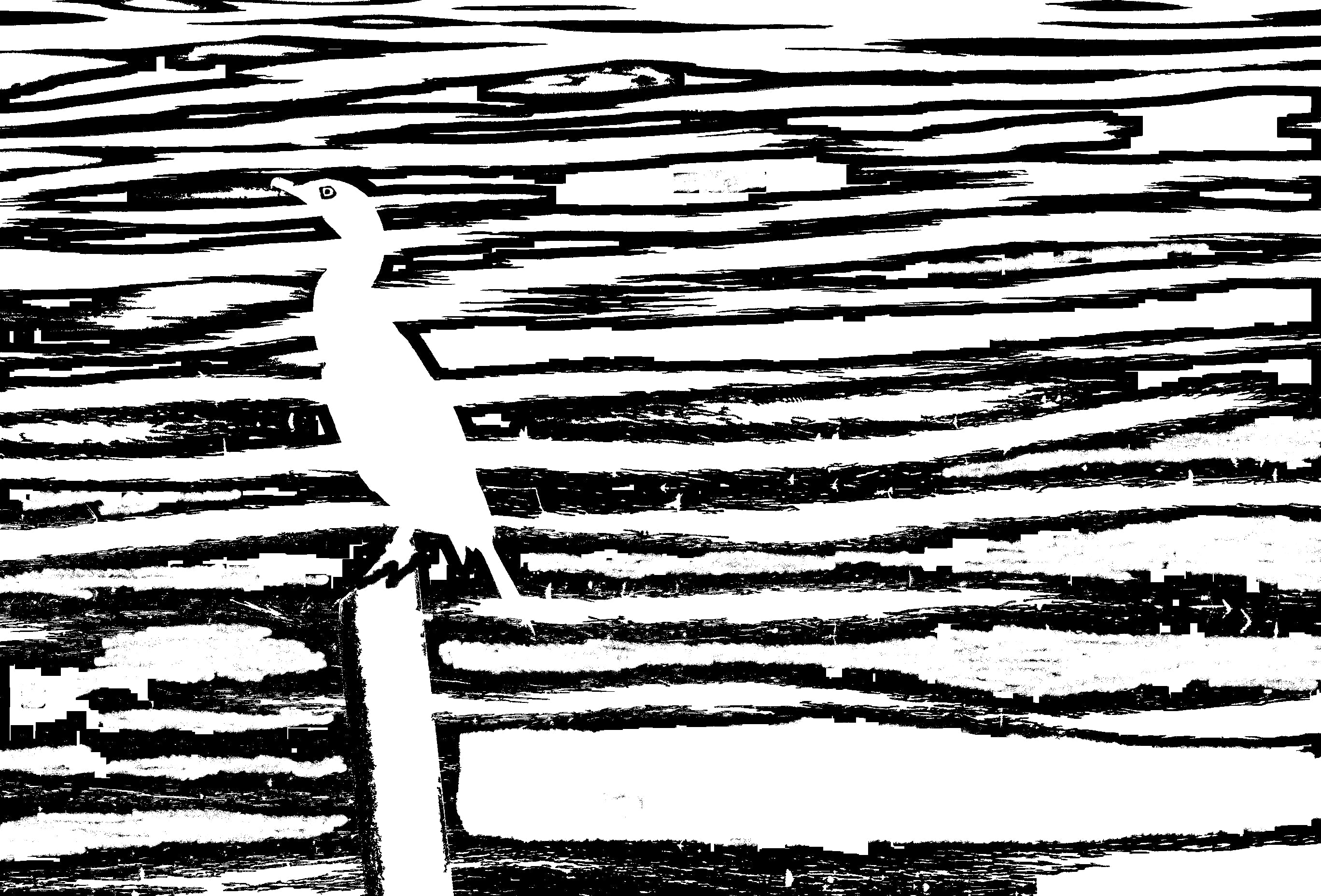 Florida Bird #3